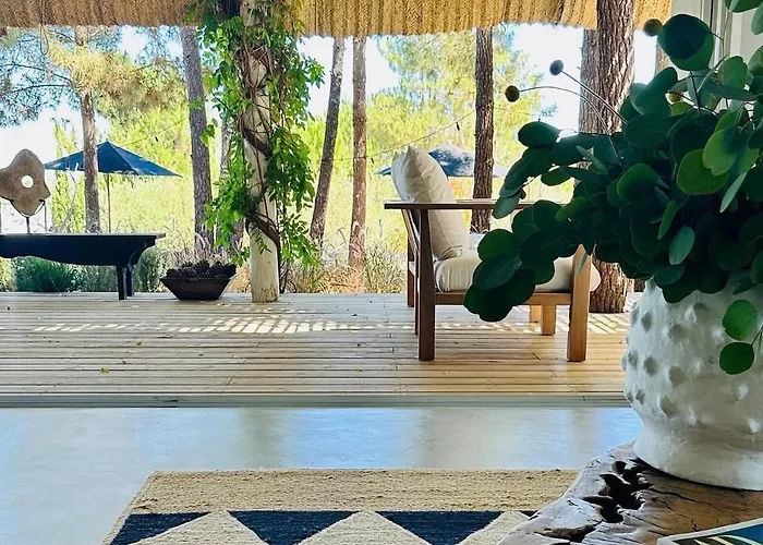 Vila Privada: Cabana Lavanda Comporta